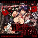  highschool_of_the_dead saeko_busujima tagme 