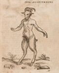 1658 17th_century 2_horns absurd_res ancient_art animal_genitalia animal_penis anthro balls beard biped bovid bovid_horn caprine caprine_genitalia caprine_horn caprine_penis cloven_hooves curved_horn english_text facial_hair fur genitals grass hatching_(art) hi_res hooves horn humanoid_hands male male_anthro mammal monochrome mythological_creature mythology navel nipples nude nude_male penis plant public_domain scut_tail shaded short_tail simple_background solo standing tail tapering_penis text three-quarter_view traditional_media_(artwork) unguligrade unknown_artist