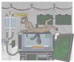 absurd_res animal_genitalia animal_penis anthro arthropod ball_bulge ballbusting balls big_balls big_penis bodily_fluids bruised bruised_balls castration castration_threat cock_and_ball_torture english_text epididymis equid equine equine_genitalia equine_penis erection forced genital_fluids genital_mutilation genital_torture genitals halter hi_res hooves hybrid implied_castration infernal-buck infestation infesticles insect laboratory laboratory_equipment larva leaking leaking_precum living_insertion male mammal mask medical medical_fetish medical_instrument mule musk musk_mask musk_sniffing mutilation nude oxygen_mask parasite parasite_in_urethra penetration penis precum restrained restrained_arms saggy_balls scared science scientific_experiment scientific_instrument solo spermatic_cords struggling tack text unwanted_erection urethral urethral_penetration