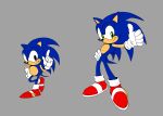 5_fingers absurd_res anthro black_eyes black_nose blue_body blue_ears blue_hair blue_quills blue_tail classic_sonic classic_sonic_(universe) closed_smile clothing countershading eulipotyphlan fingers footwear gesture glistening glistening_eyes glistening_nose gloves green_eyes grey_background hair hand_gesture hand_on_hip handwear hedgehog hi_res kolsan mammal mouth_closed multicolored_clothing multicolored_footwear multicolored_shoes pointing pointing_up pose pupils red_clothing red_footwear red_shoes sega shoes short_tail simple_background smile solo sonic_the_hedgehog sonic_the_hedgehog_(series) standing tail tan_body tan_countershading tan_inner_ear tan_skin thumbs_up two_tone_clothing two_tone_footwear two_tone_shoes white_clothing white_footwear white_gloves white_handwear white_shoes