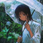  1girl black_eyes black_hair chinese_commentary closed_mouth collared_shirt commentary_request dot_nose flower foliage highres holding holding_umbrella hydrangea leaf long_hair looking_at_viewer looking_to_the_side medium_hair original outdoors plant rain realyangtuo see-through_clothes shirt slice_of_life transparent transparent_umbrella umbrella upper_body water_drop wet wet_clothes wet_shirt white_shirt 