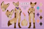acer_(character) anthro anus arm_markings backsack balls black_lips black_nose blue_eyes brown_ear_tips brown_feet brown_hands brown_nails brown_tail_tip canid canine chastity_cage chastity_device colored_nails digitigrade dipstick_ears dipstick_tail ear_markings ear_tuft eyes_closed facial_markings feet fennec_fox fox genitals hair head_markings hi_res knot knotted_penis leg_markings lips looking_at_viewer male mammal markings model_sheet multicolored_ears nails penis purple_scarf scarf simple_background socks_(marking) solo sparksreactor standing tail tail_markings tan_body tan_hair teeth tongue true_fox tuft unsupported_chastity_cage wearing_chastity_cage wearing_chastity_device