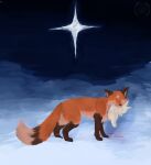 black_nose blood blood_on_snow bodily_fluids brown_body brown_ears brown_fur brown_legs canid canine corpse cyan_pupils death dipstick_tail duo feral fox fox_ears fox_markings fox_tail fur ginger_fur grey_body grey_fur hi_res holding_animal in_mouth lagomorph leporid looking_at_viewer male mammal markings metaphor neck_tuft night predator/prey pupils rabbit raynard_(real_feral) real_feral scar shaded shaded_background sky snow star star_(marking) starry_sky tail tail_markings tan_body tan_fur tan_underbelly tuft vent_art watermark white_body white_fur white_tail_tip yellow_eyes