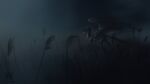 16:9 2022 6_horns ambiguous_gender artist_logo artist_name black_hair black_mane blue_body claws countershade_head countershade_neck countershade_tail countershade_torso countershading detailed_background digital_media_(artwork) digital_painting_(artwork) digitigrade dragon european_mythology feral floating_horn fog hair hi_res horn jadedragoness logo looking_down mane membrane_(anatomy) membranous_wings mouth_closed multi_horn mythological_creature mythological_scalie mythology outside painting_(artwork) plant quadruped scalie side_view snout solo spread_wings standing tail tapering_tail text wavy_horn western_dragon widescreen wing_claws wings