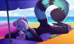 5:3 absurd_res ailurid anthro beach engieart hi_res male mammal red_panda sea solo summer umbrella water