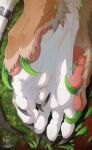 absurd_res accessory brown_body brown_fur cel_shading claws colored_nails cuddling digital_media_(artwork) dragon duo feet feet_together female feral foot_fetish foot_focus foot_play footsie fur furgonomics furred_dragon furred_scalie grass green_nails grey_nails hi_res jewelry male male/female mythological_creature mythological_scalie mythology nails outside pawpads paws plant ring scalie seregore shaded simple_background spiked_tail spikes spikes_(anatomy) tail tail_accessory tail_jewelry tail_ring toe_claws toes white_body