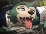 anthro beastars bed bedroom_eyes bodily_fluids canid canine canis clothing duo extreme_size_difference fangs female female_anthro furniture haru_(beastars) hi_res lagomorph larger_male legoshi_(beastars) leporid lips lying male male/female male_anthro mammal mawplay micro narrowed_eyes on_front on_tongue open_mouth rabbit saliva saliva_on_tongue saliva_string scar school_uniform seductive size_difference smaller_anthro smaller_female smellslikejavier teeth tongue uniform vore wolf