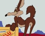 2d_animation abdominal_bulge acme acme_products anal anal_penetration animated animated_gif anthro anus avian backsack ball_tuft balls bedroom_eyes bent_over big_balls big_penis bird braeburned brown_body brown_fur butt canid canine canis cartoon_physics chicken coyote featureless_crotch foghorn_leghorn frame_by_frame fur galliform genitals humanoid_genitalia humanoid_penis humor interspecies large_penetration larger_male looking_at_viewer looney_tunes male male/male mammal narrowed_eyes nude null null_penetrated null_with_anus paws pencil_(object) penetration penile penile_penetration penis penis_in_ass perineum phasianid presenting presenting_hindquarters rear_view seductive shaking_butt short_playtime size_difference smile tail thick_penis top_hole tuft warner_brothers wile_e._coyote yellow_sclera