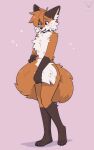2026 4_toes anthro artist_logo artist_name black_eyebrows black_nose blush blush_lines brown_body brown_ears brown_eyes brown_fur canid canine cheek_tuft chest_tuft countershading covering covering_self cute_fangs dipstick_tail embarrassed eyebrows facial_tuft fangs feet fleurfurr fluffy fluffy_tail fox fur gloves_(marking) hair hi_res inner_ear_fluff leg_markings logo looking_down male mammal markings open_mouth orange_body orange_fur orange_hair pink_background simple_background socks_(marking) solo standing star tail tail_markings teeth text toes tuft white_body white_fur white_inner_ear_fluff