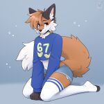 1:1 2026 4_fingers 67_(meme) anthro artist_logo artist_name black_eyebrows black_nose black_pawpads blue_clothing blue_shirt blue_topwear bottomwear brown_body brown_ears brown_eyes brown_fur canid canine cheek_tuft closed_smile clothed clothed_anthro clothed_male clothing countershading crop_top daisy_dukes denim denim_bottomwear denim_clothing denim_shorts dipstick_tail eyebrows facial_tuft fingers fleurfurr fluffy fluffy_tail fox fur grey_background hair hi_res hotpants inner_ear_fluff kneeling legwear logo looking_away male mammal markings midriff mouth_closed navel orange_body orange_fur orange_hair pawpads shirt shorts simple_background smile solo star tail tail_markings text thigh_highs toeless_legwear topwear tuft white_body white_clothing white_fur white_inner_ear_fluff white_legwear white_thigh_highs