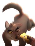 2026 3:4 absurd_res all_fours anthro black_nose blush bracelet canid canine canis cheek_tuft dreamworks duo facial_tuft feet fluffy fluffy_tail fur grey_body grey_fur head_tuft hi_res holding_object inner_ear_fluff jewelry ki0_mono male mammal mr._wolf_(the_bad_guys) multicolored_body multicolored_fur nude_anthro nude_male one_eye_closed simple_background smile tail the_bad_guys tiptoes tuft two_tone_body two_tone_fur white_background wolf yellow_sclera