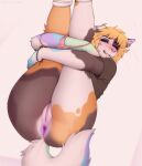 anthro anus blonde_hair butt canid canine canis clothed clothing clothing_around_legs coral_(coraldog) domestic_dog ear_piercing ear_ring eyeshadow facial_piercing female floppy_ears genitals hair hi_res legs_up looking_at_viewer makeup mammal nextel nose_piercing nose_ring panties panties_around_legs panties_down partially_clothed piercing plump_labia presenting presenting_hindquarters pubes purple_anus purple_vulva ring_piercing smile solo tail underwear underwear_around_legs underwear_down vulva