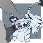 1:1 absurd_res all_fours animal_genitalia animal_penis anthro balls blue_eyes blush breasts butt crimson_storm darkened_genitalia darkened_penis dearivy duo equid equine equine_genitalia equine_penis fellatio female fingers first_person_view fur genitals grey_body grey_fur hair hand_on_head hi_res holding_head hooved_fingers hooves horse inner_ear_fluff izzabelle_frost looking_up looking_up_at_partner male male/female mammal mane markings medial_ring oral penile penis pov_blowjob pov_hands sex striped_arms striped_body striped_hair striped_legs striped_markings striped_tail stripes tail tail_markings tuft vein veiny_penis zebra