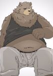  1boy animal_ears ashi_4423 bara bear_boy bear_ears belly ben_bigger black_tank_top blush brown_fur closed_mouth clothes_lift commentary_request fat fat_man furry furry_male grey_pants highres looking_at_viewer male_focus navel pants plump scar scar_across_eye scar_on_face shirt_lift sitting tank_top white_background zenless_zone_zero 
