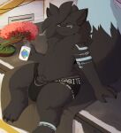 absurd_res alter_(katauni) animal_genitalia anthro beverage bonsai boxers_(clothing) bulge clothed clothing coffee coffee_mug dark_body dark_fur digital_media_(artwork) english_text frustrated fur genitals half-erect hi_res holding_object imp katauni katauni_(ghost_forger) katauni_(imp) male mammal penis plant science_fiction sheath solo story story_in_description tail text thick_thighs topless underwear wardrobe_malfunction wide_hips