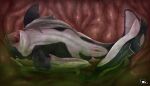acid_burns anatomically_correct anatomically_correct_genitalia anus aquatic bodily_fluids bottlenose_dolphin cetacean cravenexx digestion dolphin dosfin female female_prey feral feral_prey genitals group hi_res hybrid internal irulen lying male male_prey mammal oceanic_dolphin on_side open_mouth orca organs size_difference stomach stomach_acid tongue toothed_whale unwilling_prey vore vulva