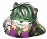 2boys animal_ears armor black_streaks closed_eyes commentary cropped_shoulders ephraim_(fire_emblem) ephraim_(sky_lance)_(fire_emblem) facing_viewer fire_emblem fire_emblem:_the_sacred_stones fire_emblem_shadows furry furry_male futemochi gem green_hair hands_on_another's_face highres lyon_(fire_emblem) male_focus multicolored_hair multiple_boys out_of_frame petting pov pov_hands purple_gem short_hair shoulder_armor solo_focus streaked_hair tiger_boy tiger_ears tiger_stripes untranslatable_commentary white_background white_streaks 