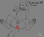 anal_prolapse anatomically_correct anatomically_correct_genitalia anatomically_correct_vulva animal_genitalia animal_vulva anus belly_nipples bodily_fluids canid canine canine_genitalia canine_vulva canis cum cum_in_ass cum_in_prolapse cum_inside dogface domestic_dog female feral gaping gaping_anus genital_fluids genitals hi_res kinktober mammal multi_nipple nipples pawpads paws prolapse solo tail tongue tongue_out vulva
