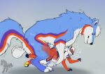 abdominal_bulge absurd_res anthro anthro_on_feral anthro_penetrated bestiality blue_body blue_claws blue_fur blush bouncing_ball canid canine canis cherenkov claws doggystyle duo english_text fenn.perrox feral feral_penetrating feral_penetrating_anthro fox from_behind_position fur genitals hi_res knot knotted_penis large_penetration male male/male mammal onomatopoeia orange_body orange_fur pawpads penetration penis sex size_difference smaller_penetrated sound_effects speech_bubble text translucent translucent_body whiskey_tango wolf x-ray_view yellow_pawpads