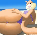 anthro beach bikini bikini_only brown_body buckteeth butt clothing eyelashes female fluffy fluffy_tail greystwitpage_(artist) looking_at_viewer looking_back lying mammal nickelodeon on_side pink_nose pose purple_bikini purple_clothing purple_swimwear relaxing rodent sandy_cheeks sciurid sea sky smile solo spongebob_squarepants swimwear tail teeth tree_squirrel two-piece_swimsuit water