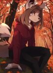2023 5_fingers anthro autumn autumn_leaves big_ears black_bottomwear black_clothing black_inner_ear black_markings black_nose black_pants bottomwear brown_hair canid canine chest_tuft claws clothed clothed_anthro clothed_female clothing detailed_background digital_media_(artwork) dipstick_tail ear_markings eyebrows facial_markings female female_anthro finger_claws fingerless_(marking) fingers forest fox fur fur_markings grey_eyes hair head_markings hi_res hoodie humanoid_hands if-fi inner_ear_fluff looking_aside mammal markings nature nature_background outside pants plant pointy_ears prick_ears red_clothing red_hoodie red_topwear sitting solo tail tail_markings tan_body tan_fur three-quarter_view topwear tree tuft white_body white_claws white_finger_claws white_fingers white_fur white_inner_ear_fluff white_markings white_tail_tip
