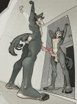 abs absurd_res anthro armpit_hair balls beastars belly big_glans black_claws black_nose body_hair butt canid canine canis claws erection facial_markings foreskin fur genitals glans grey_body grey_fur hairy_balls hairy_tail head_markings hi_res lean_male legoshi_(beastars) long_muzzle long_penis low-angle_view male mammal markings mirror mirror_reflection mirrored_pose muzzle_(marking) nipples nude pecs penis pink_glans pink_nipples pointy_ears pose pubes ravuer reflection retracted_foreskin showing_armpit skinny_male sleepy_eyes solo standing stretching tail tall_male tired toe_claws wardrobe white_belly white_butt white_face white_soles wolf