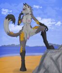 anthro azurgyn balls beach breasts butt butt_from_the_front canid canine canis choker cloud collar curvy_figure digital_drawing_(artwork) digital_media_(artwork) digitigrade ear_piercing ear_ring epic_games eyewear figurine flaccid fortnite fur genitals glans glasses grey_body grey_fur gynomorph hair hand_on_head hi_res humanoid_genitalia humanoid_penis intersex jewelry mammal multicolored_body multicolored_fur necklace nipples nude penis piercing raised_leg ring_piercing rock sand signature solo step_pose tail wearing_glasses wolf wolfie_(fortnite) yellow_eyes