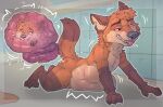 abdominal_bulge absurd_res anthro baileyx balls belly belly_squish big_belly canid canine college_student digestion duo eyewear fox genitals glasses gold_(metal) gold_tooth guts hi_res imminent_death inside_stomach internal intestines larger_male locker_room lying lying_on_ground male male/male male_pred male_prey mammal melting melty_digestion nude on_front on_ground organs rabbitseason_(amadose) size_difference smaller_male squish stomach tongue tongue_out vore wearing_glasses
