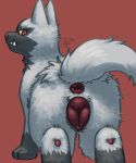 2026 5:6 angry animal_genitalia animal_vulva anus butt butt_tuft canid canine canine_genitalia canine_vulva carpal_pad colored digital_drawing_(artwork) digital_media_(artwork) female feral fluffy foot_tuft frown frowning_at_viewer fur furrowed_eyebrows generation_3_pokemon genitals grey_body grey_fur grey_markings half-length_portrait heel_tuft hi_res internal internal_anal lidded_eyes line_art looking_at_viewer looking_back looking_back_at_viewer mammal markings neck_tuft nintendo pokemon pokemon_(species) poochyena portrait presenting presenting_anus presenting_hindquarters presenting_vulva puffy_anus pupils raised_tail rear_view red_anus red_background red_eyes red_vulva shaded signature simple_background solo soyesoye standing tail teeth tuft underbite vulva white_pupils yellow_sclera
