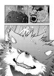 2014 4_panel_comic absurd_res anthro big_muscles bite bodily_fluids breath briefs broad_shoulders canid canine clothing comic duo feral fur hatake hi_res huge_muscles humanoid japanese_text locker_room lying male mammal monochrome moon muscular mythological_canine mythological_creature mythology night on_back onomatopoeia saliva scared smile snout sound_effects text transformation underwear vein veiny_muscles werecanid werecanine werecreature werewolf