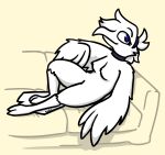2026 aliasing anthro avian beak bird bizart blue_eyes breasts breezy_(lotp) choker choker_only claws digital_media_(artwork) european_mythology feathered_wings feathers feet female furniture greek_mythology hair hi_res jewelry leaning leaning_backward looking_at_viewer lying mythological_avian mythological_bird mythological_creature mythological_firebird mythology necklace necklace_only nude on_back on_sofa phoenix reclining reclining_on_sofa semi-anthro shaded simple_background smile sofa solo tail tail_feathers toes white_body white_feathers white_hair winged_arms wings