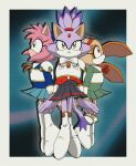 2026 accessory amy_rose anthro armor artist_name black_bottomwear black_clothing black_nose black_skirt blaze_the_cat blue_bottomwear blue_clothing blue_gem blue_headband blue_skirt bottomwear brown_eyes clothing colored cosplay cream_the_rabbit crossover crossover_cosplay darlan_space digital_drawing_(artwork) digital_media_(artwork) domestic_cat eulipotyphlan felid feline felis female front_view gem green_clothing green_eyes green_gem green_shirt green_topwear group hair_accessory headband hedgehog hi_res lagomorph leporid magic_knight_rayearth mammal mouth_closed orange_bow orange_ears pink_ears pink_face pink_legs purple_arms purple_ears purple_face purple_legs purple_tail rabbit red_clothing red_gem red_hair_accessory red_headband sega shaded shirt side_view signature simple_background skirt sonic_the_hedgehog_(series) tail tan_arms tan_face teeth text topwear trio white_armor white_bow yellow_eyes