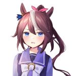  1girl animal_ears averting_eyes blue_eyes bow bowtie brown_hair commentary_request ear_ornament hair_between_eyes hair_bow highres horse_ears horse_girl long_hair multicolored_hair pink_bow ponytail purin_jiisan purple_shirt school_uniform shirt solo streaked_hair tokai_teio_(umamusume) tracen_school_uniform umamusume upper_body v-shaped_eyebrows white_bow white_bowtie white_streaks winter_uniform 