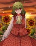  bad_id bad_pixiv_id colorized flower green_hair highres kazami_yuuka red_eyes s-syogo smile solo sunflower sunset touhou 