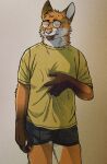 2026 absurd_res anthro bulge canid canine claws clothing eyewear facial_hair finger_claws fox fur glasses gloves_(marking) hi_res male mammal markings neck_tuft orange_body orange_fur portrait rayfkm red_fox shirt simple_background solo textured_background three-quarter_portrait tired topwear true_fox tuft underwear wearing_glasses whisker_spots whiskers white_body white_fur