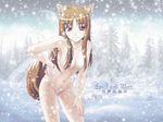  1girl animal_ears breasts brown_hair holo horo long_hair looking_at_viewer nude red_eyes smile snow solo spice_and_wolf tail wolf_ears 