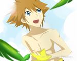  blue_eyes brown_hair kingdom_hearts male solo sor spiky_hair 