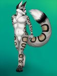  anthro canine feline fox hybrid invalid_tag korrok leopard male mammal pinup pose snow_leopard solo 