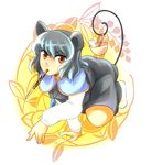  all_fours animal_ears eating grey_hair mouse mouse_ears mouse_tail nazrin pakuchii red_eyes short_hair solo tail touhou 
