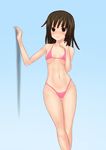  bakemonogatari bikini blush breasts brown_eyes brown_hair monogatari_(series) sengoku_nadeko short_hair small_breasts solo swimsuit toe_fu 