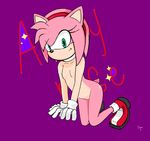  amy_rose animal_ears breasts devo87 female gloves green_eyes hair hedgehog looking_at_viewer mammal nipples nude pink_hair plain_background sega solo sonic_(series) tail 