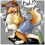  border_collie canine claws clothing dog ears edmol female fur japanese_text mammal open_mouth pants shirt sweat tail teeth text tongue tongue_out transformation 