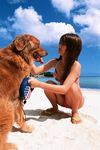  beach bikini dog flip-flops flipflops highres kamata_natsumi photo sandals swimsuit 