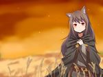  animal_ears blurry brown_hair cloak depth_of_field highres holo long_hair red_eyes smile solo spice_and_wolf wk_(low-f) wolf_ears 
