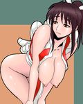  king_of_fighters mai_shiranui tagme 