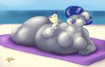  breasts female fur grey_fur hair hoodah koala long_hair mammal marsupial morbidly_obese nude overweight short_hair solo 