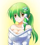  alternate_hairstyle bare_shoulders breasts cleavage colorized frog green_hair hair_ornament kochiya_sanae large_breasts long_hair osashin_(osada) ponytail smile snake solo sweater touhou yellow_eyes 
