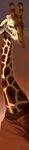  ambiguous_gender brown brown_body brown_clothing brown_eyes giraffe gradient_background horn horn_ring long_neck mammal mirroretesserval solo spots 