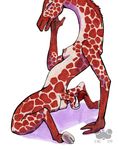  breasts eyes_closed female giraffe hooves kneeling mammal nipples plain_background questionable_anatomy small_breasts solo tail therealbloodhound watermark white_background 