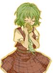  bad_id bad_pixiv_id belt blush closed_eyes flower furorida green_hair hug kazami_yuuka object_hug plaid plaid_skirt plaid_vest short_hair skirt solo sunflower touhou vest 